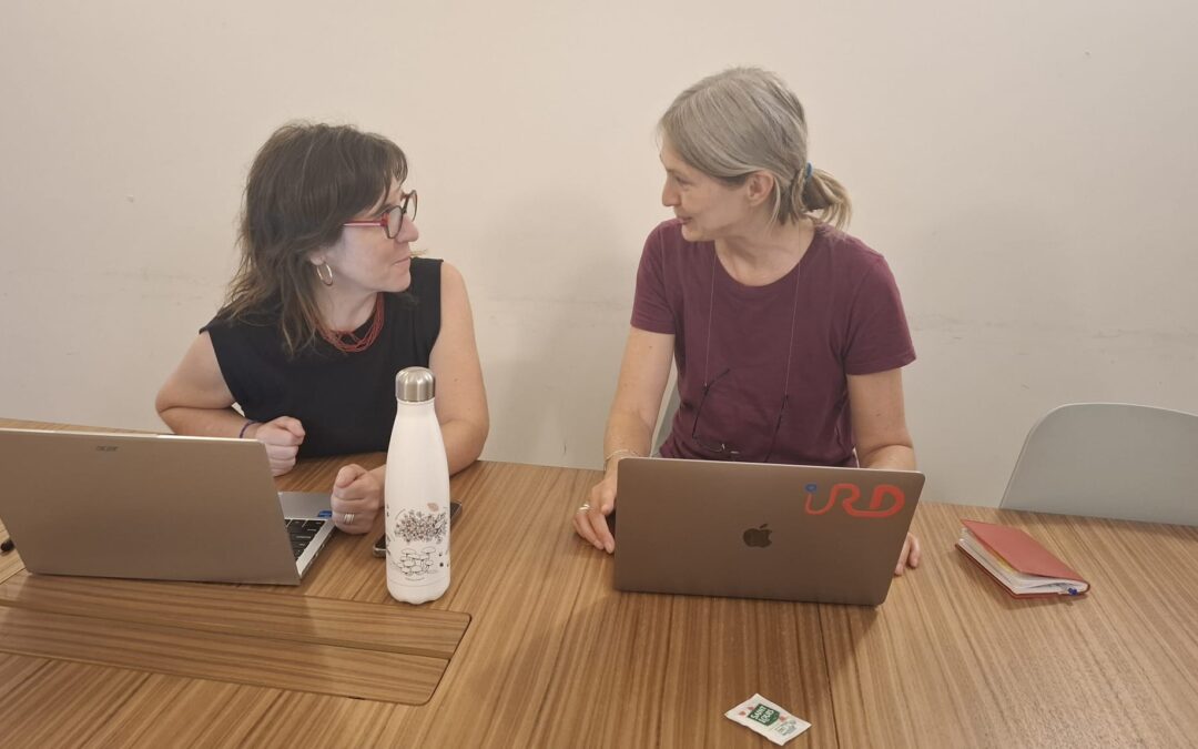 Académica de Administración Pública Fae Usach fortalece colaboración internacional a través de estancia académica en París